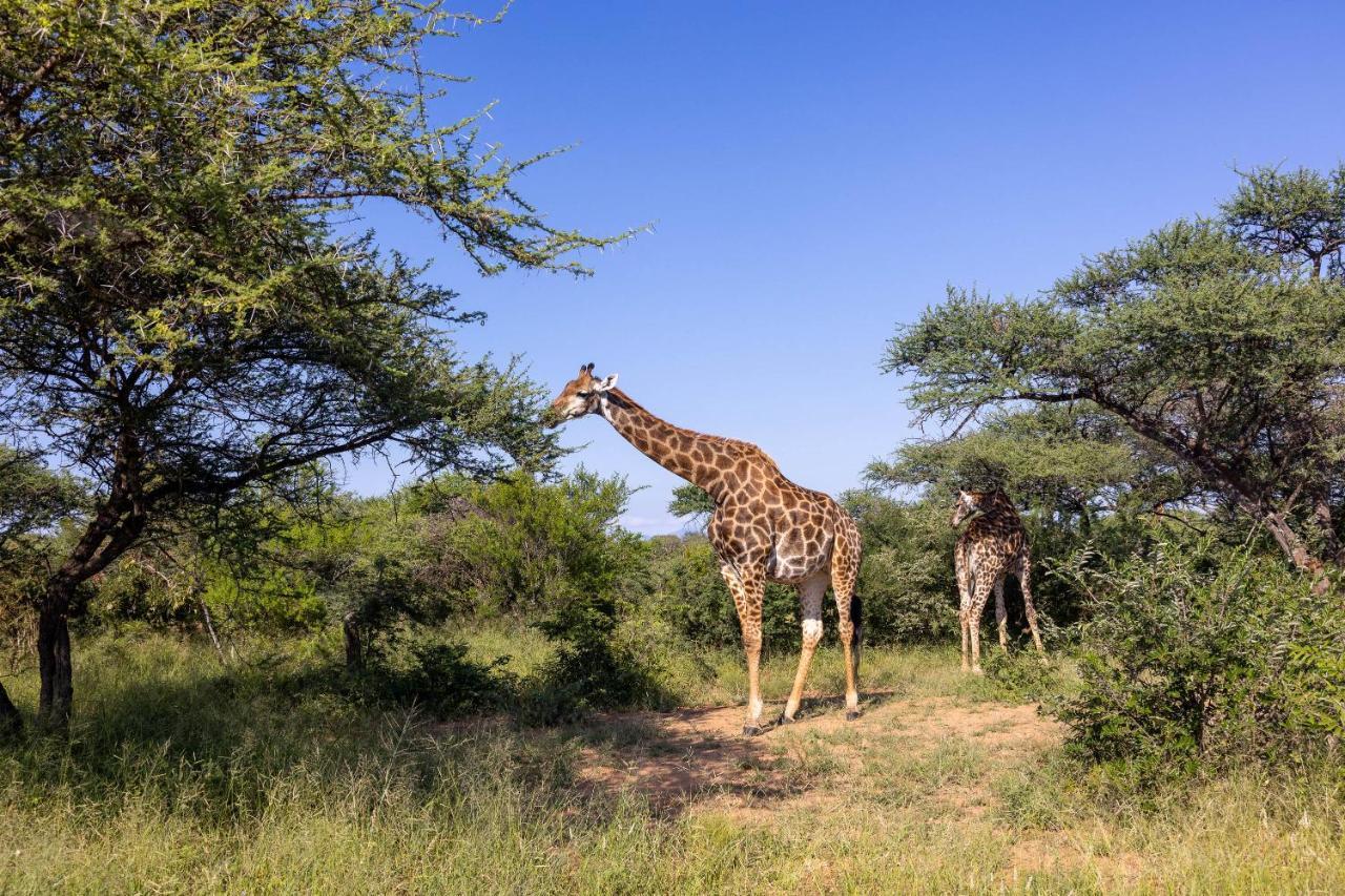 Oase By 7 Star Lodges - Greater Kruger Private 530Ha Reserve Hoedspruit Kültér fotó